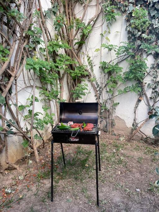 Etage De Villa Avec Jardin, Pres De L'Aireport Et Parking Prive Ariana Εξωτερικό φωτογραφία