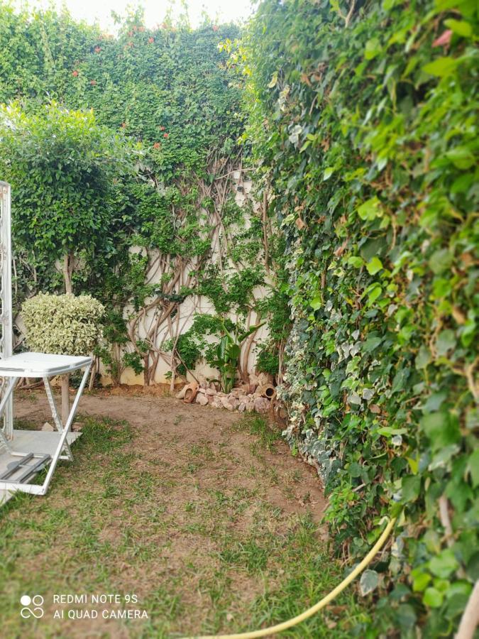 Etage De Villa Avec Jardin, Pres De L'Aireport Et Parking Prive Ariana Εξωτερικό φωτογραφία