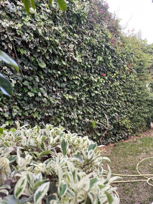 Etage De Villa Avec Jardin, Pres De L'Aireport Et Parking Prive Ariana Εξωτερικό φωτογραφία