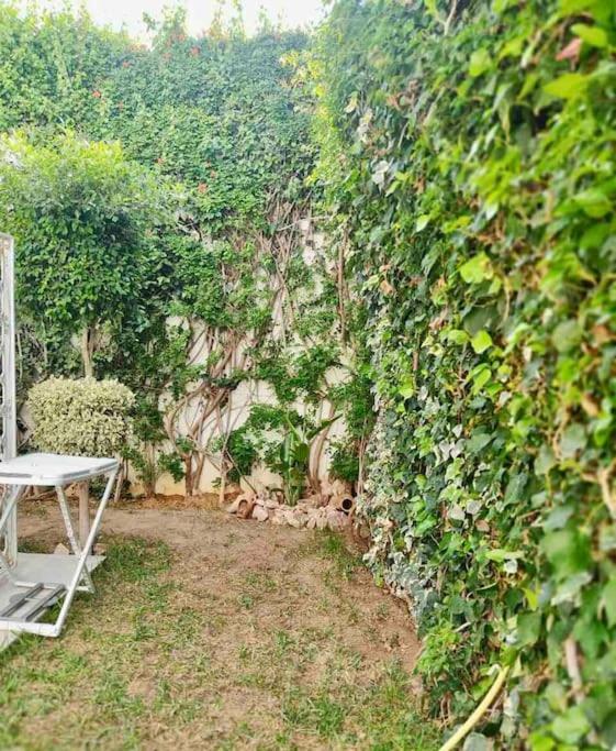 Etage De Villa Avec Jardin, Pres De L'Aireport Et Parking Prive Ariana Εξωτερικό φωτογραφία