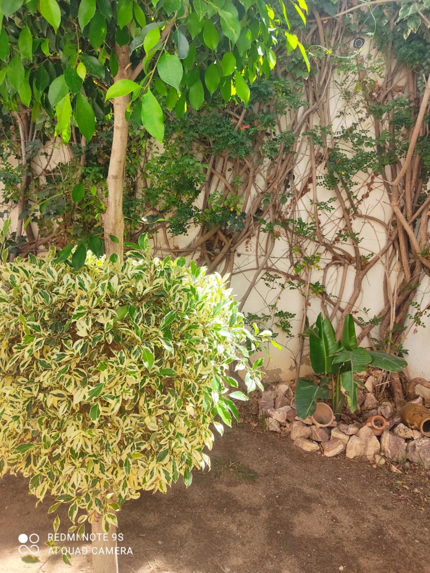 Etage De Villa Avec Jardin, Pres De L'Aireport Et Parking Prive Ariana Εξωτερικό φωτογραφία