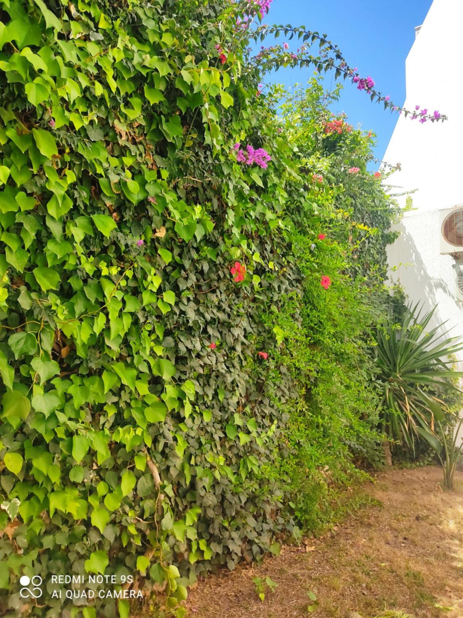 Etage De Villa Avec Jardin, Pres De L'Aireport Et Parking Prive Ariana Εξωτερικό φωτογραφία