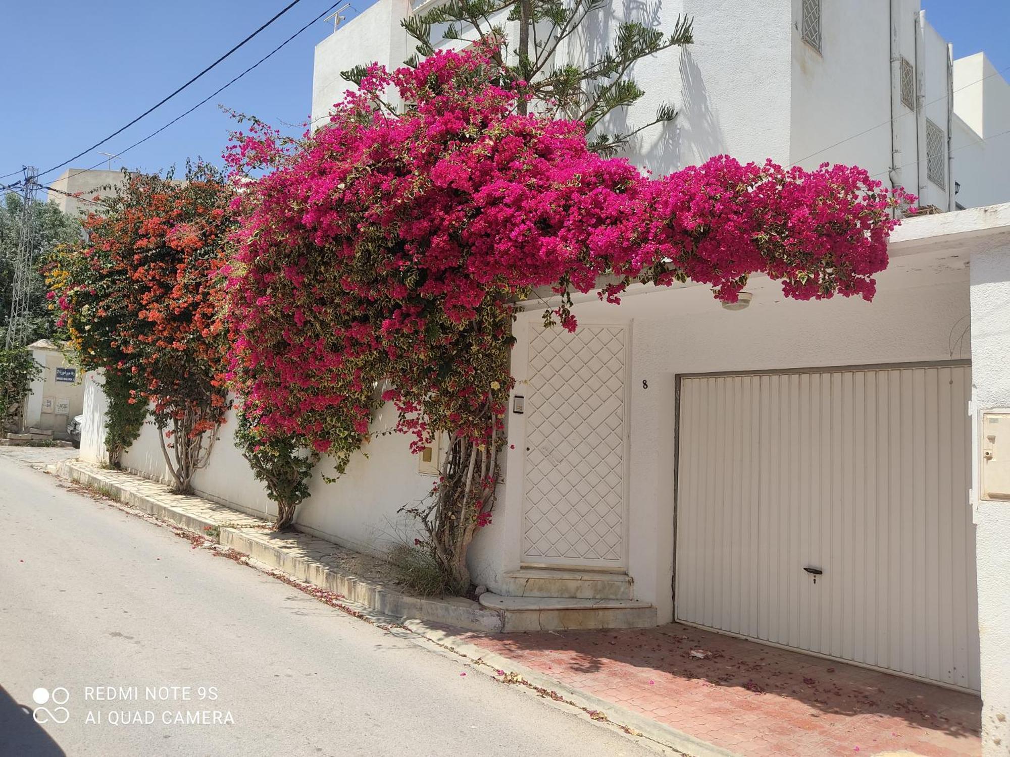 Etage De Villa Avec Jardin, Pres De L'Aireport Et Parking Prive Ariana Εξωτερικό φωτογραφία