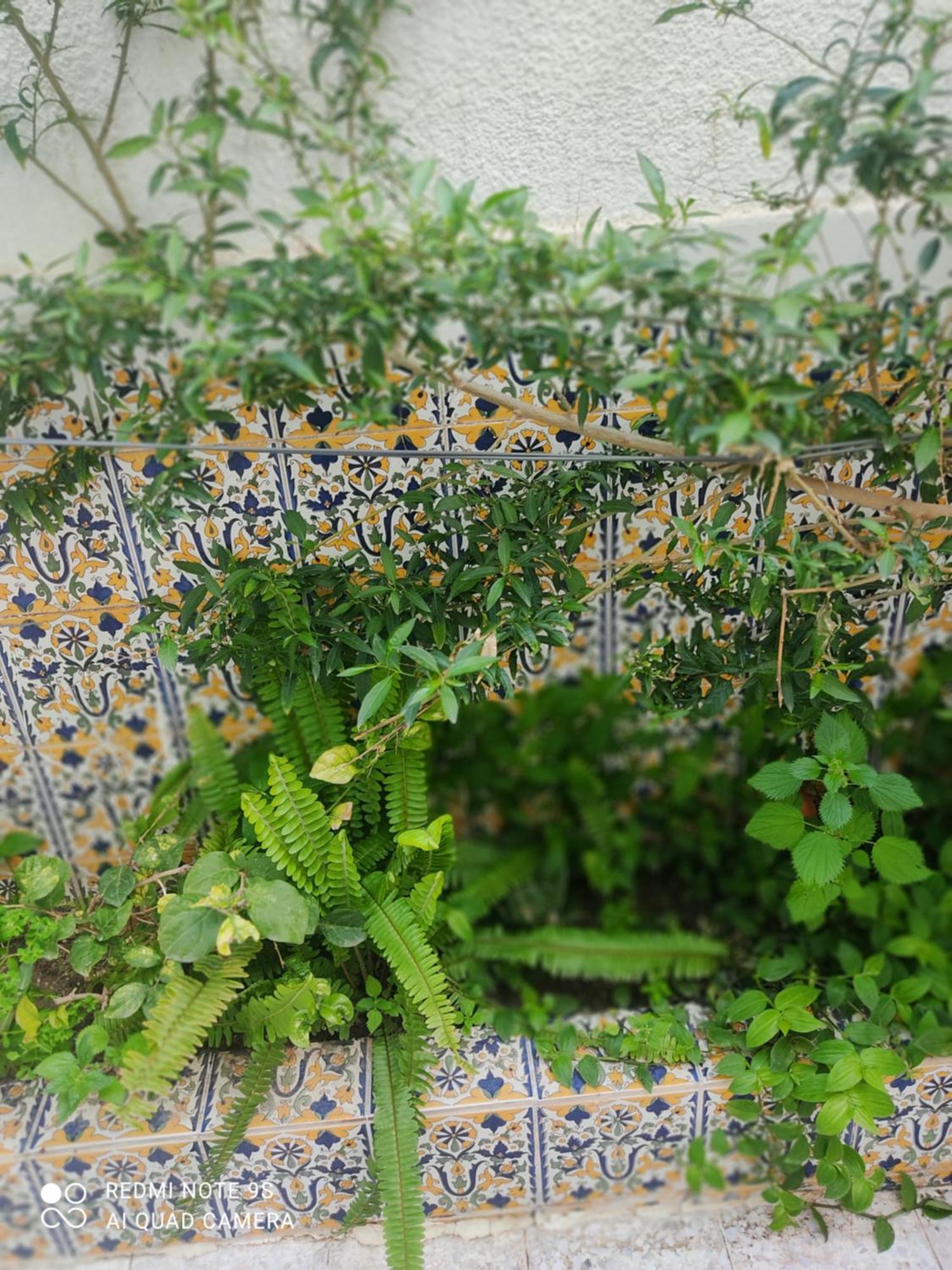 Etage De Villa Avec Jardin, Pres De L'Aireport Et Parking Prive Ariana Εξωτερικό φωτογραφία